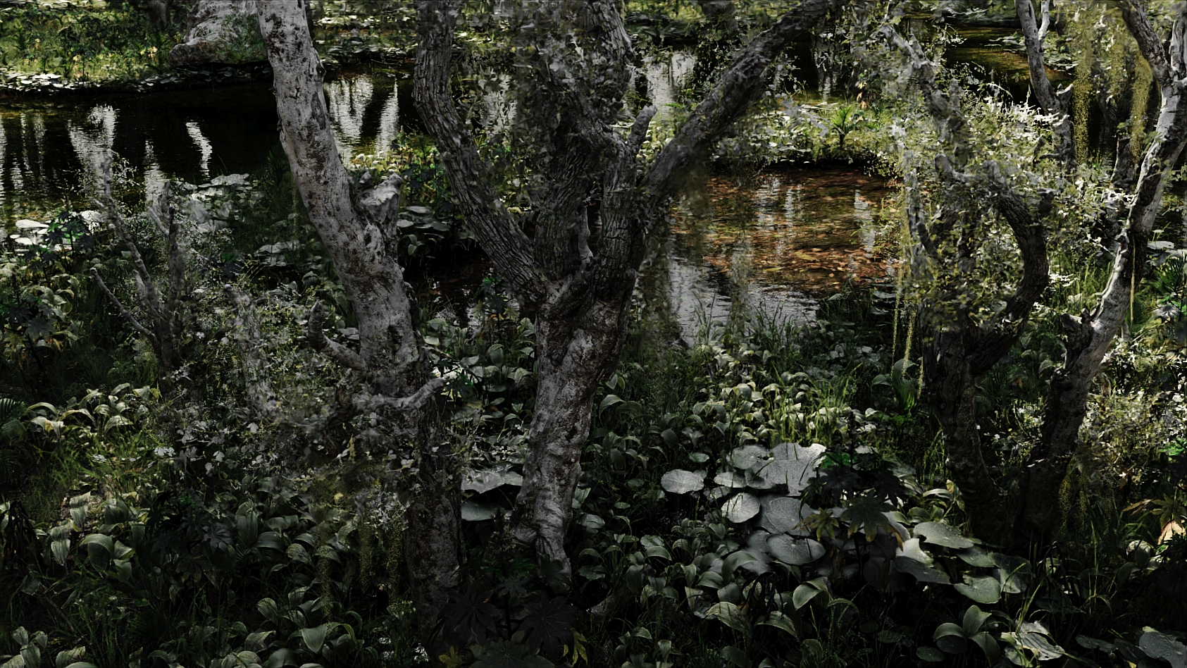 swamp2.jpg