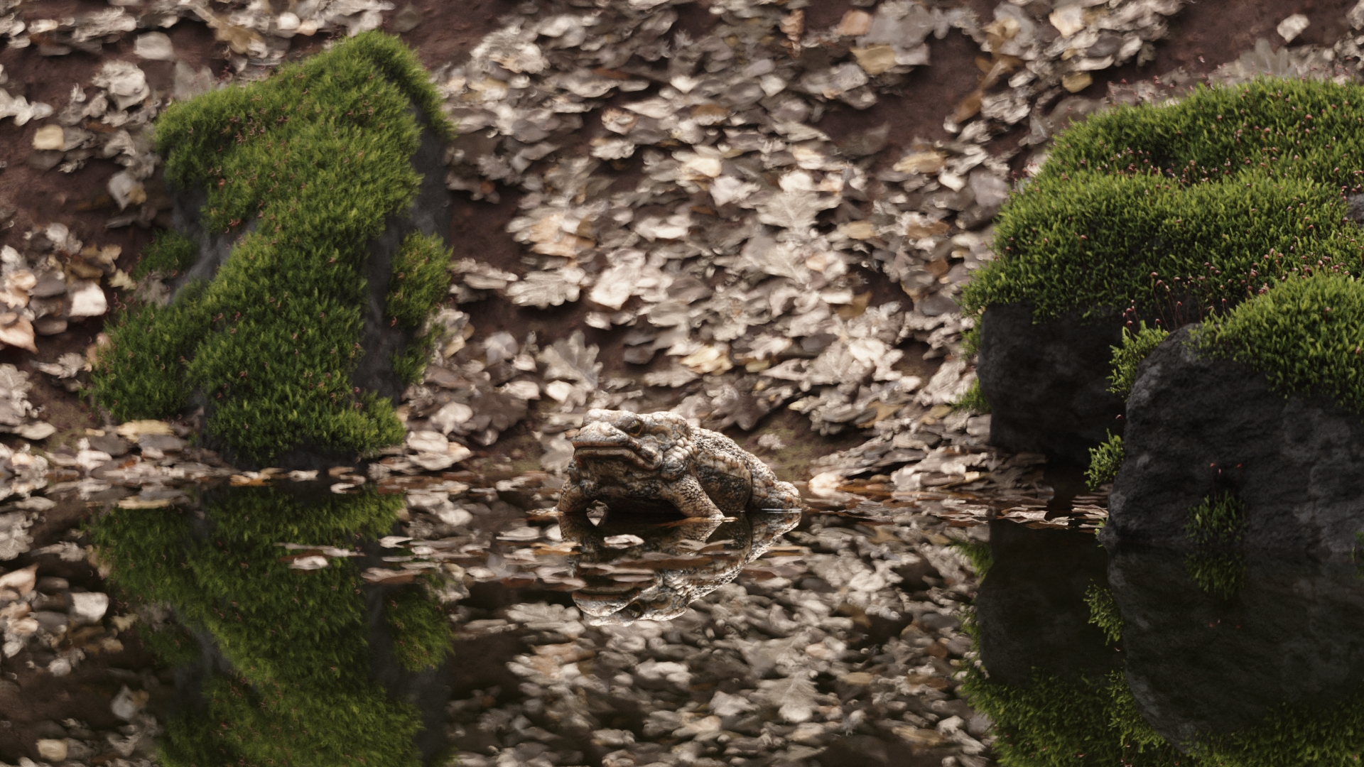 froggo1.jpg