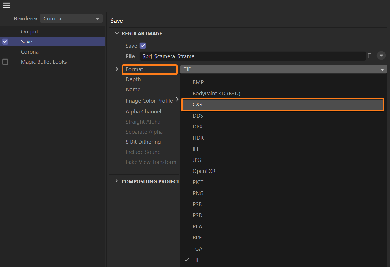 C4D_HowTo_SaveCXR_UI_01_RenderSettings.png