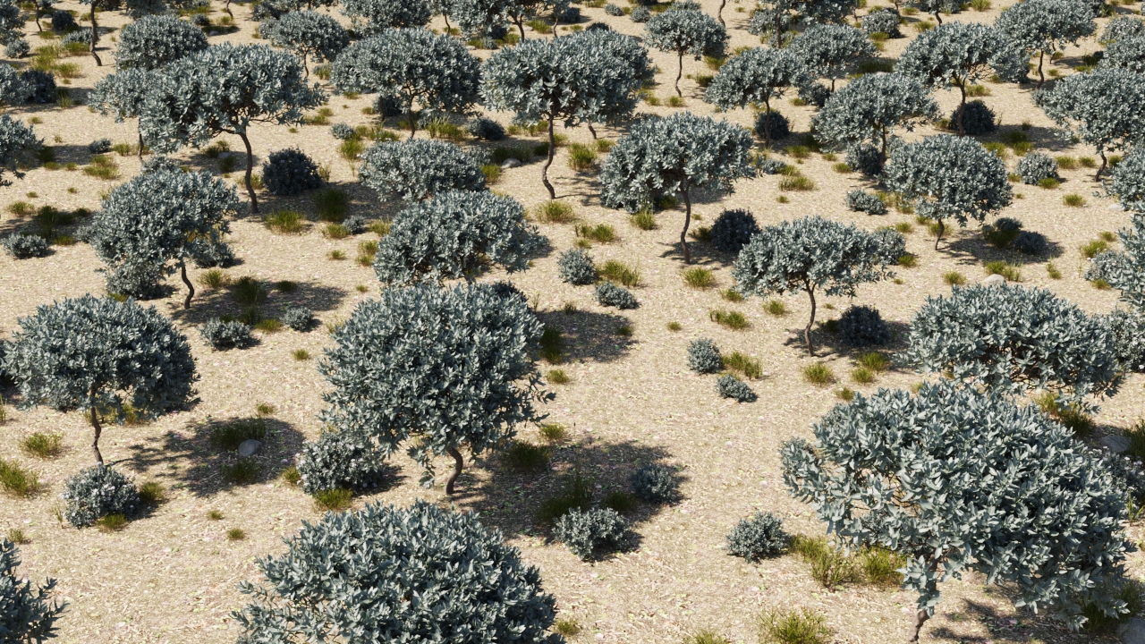 scattered-groups.jpg
