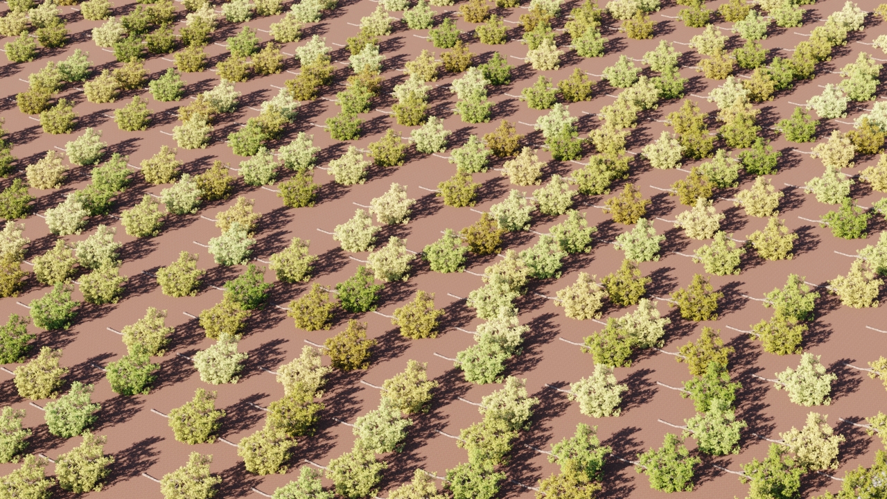trees-side.jpg