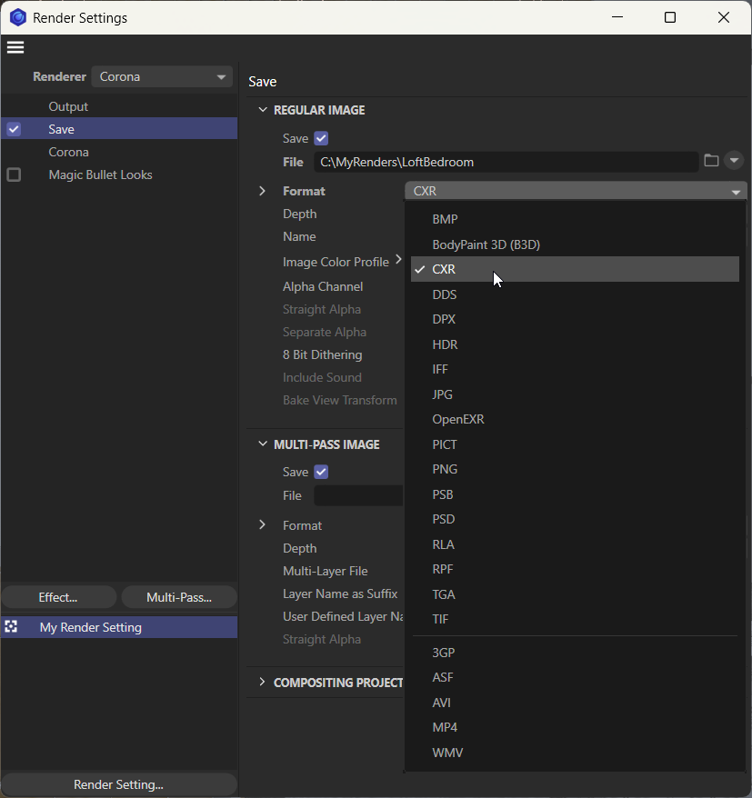 RenderSettingsCXR.png