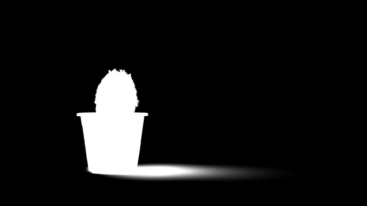 cactus-compo.jpg