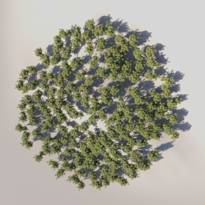25_ChaosScatter_C_Test_A_Spline_Near-Far_Default.png