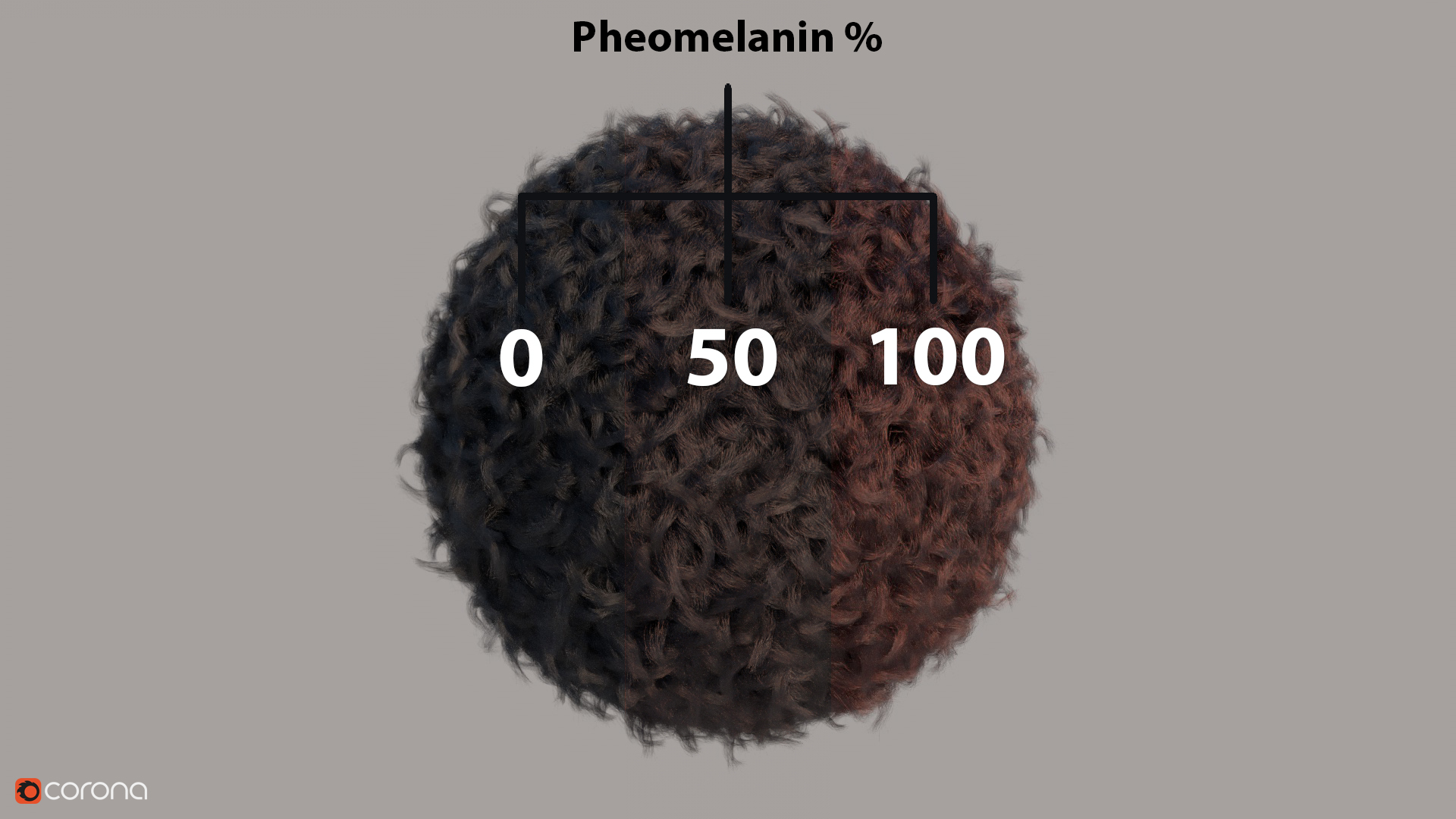 pheo_melanin.jpg