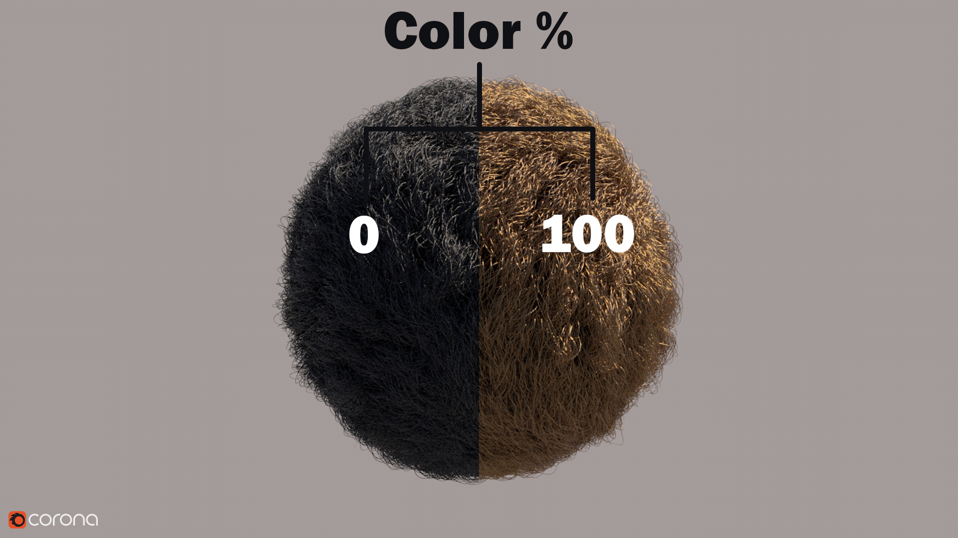 color.jpg