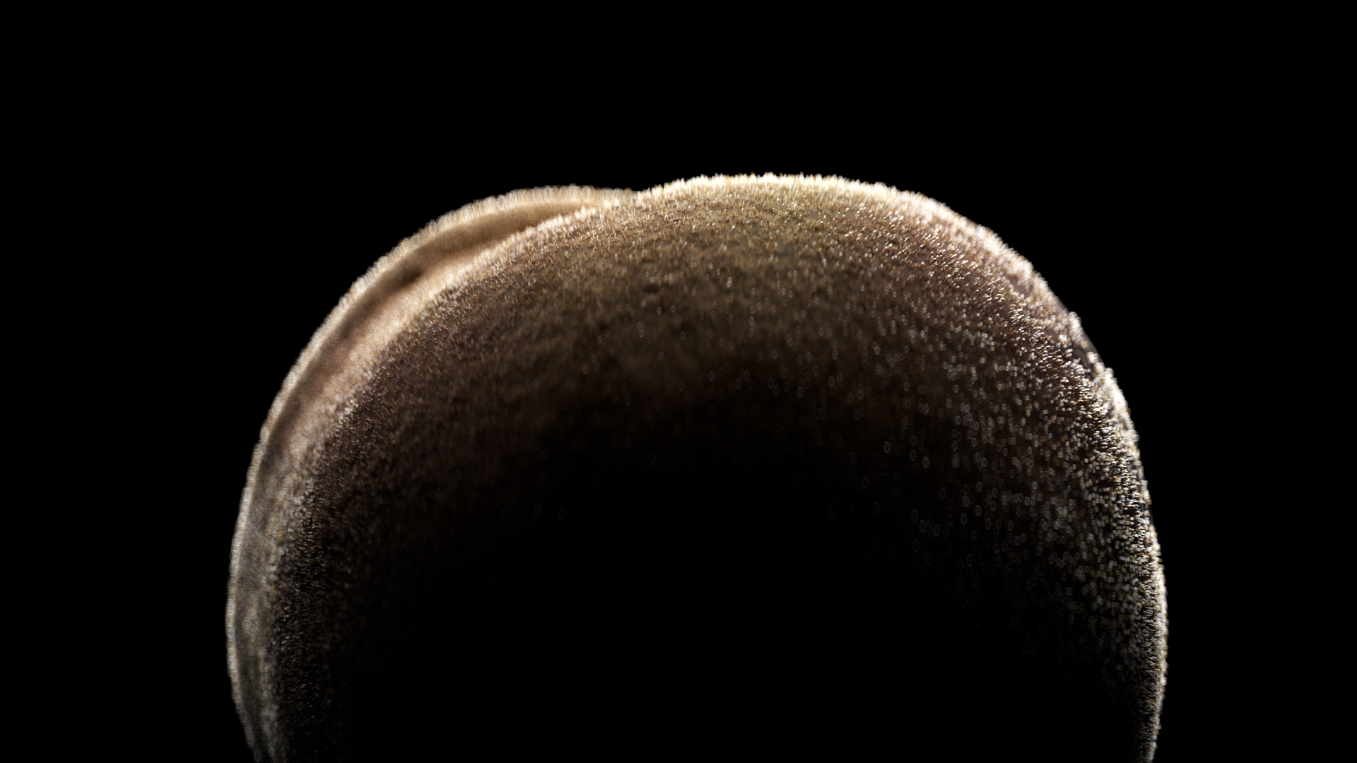 peach_fuzz.jpg
