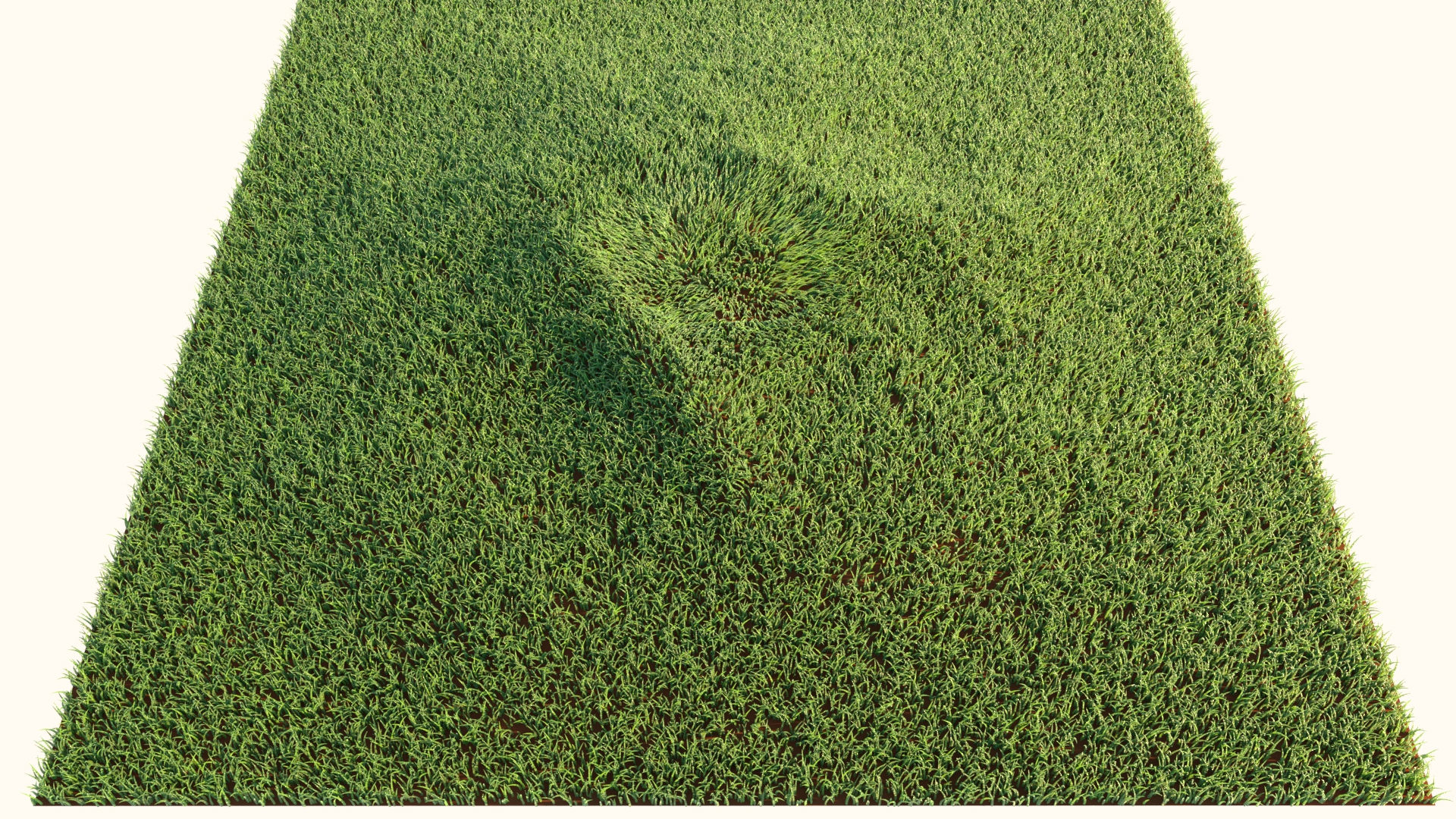 Grass_Hair.jpg