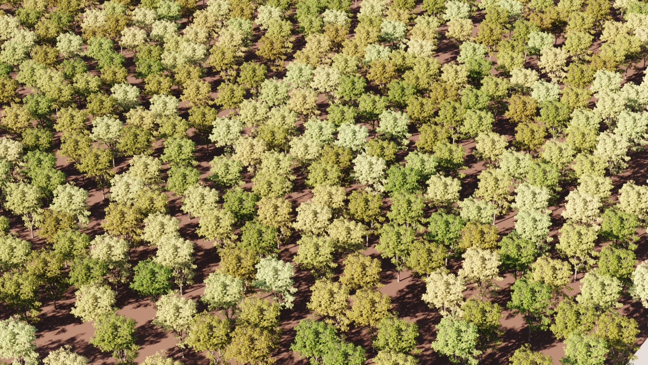 trees-vertical.jpg