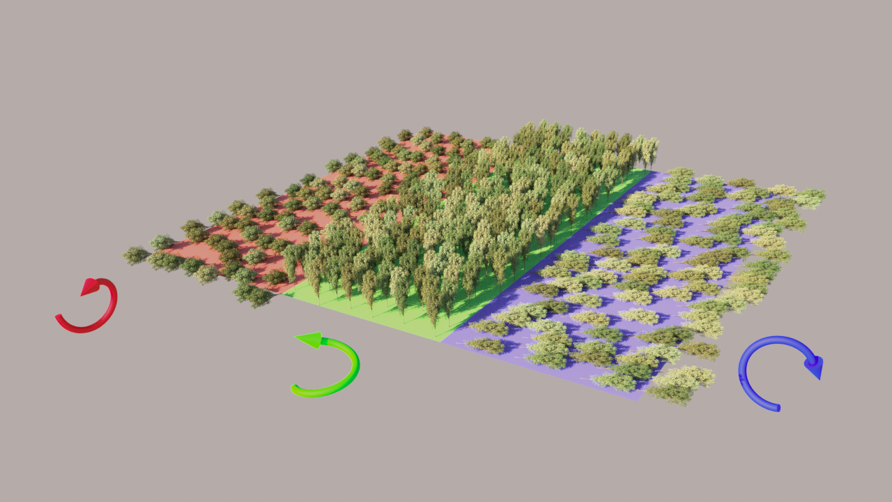21_ChaosScatter_D_Transform_Rotation.png