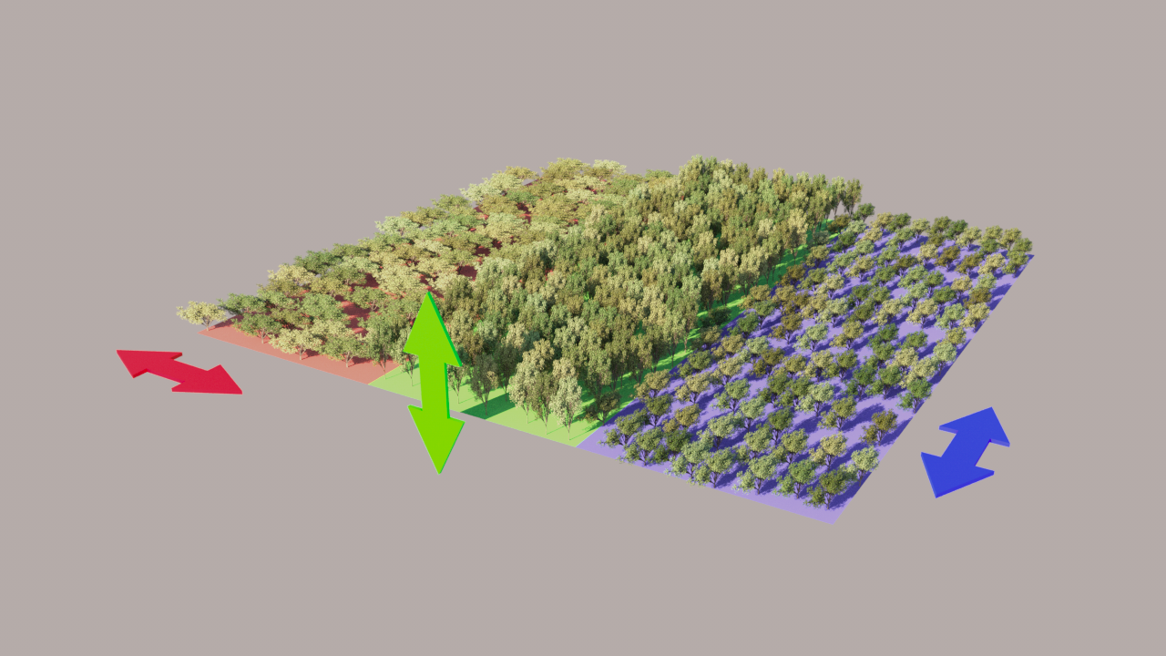 23_ChaosScatter_D_Transform_Scaling.png